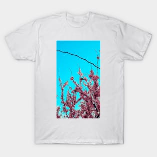 blossom 2 T-Shirt